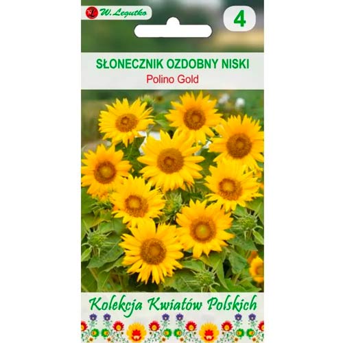 Sonnenblume Polino Gold mischung Legutko interface.image 1 interface.art 86734