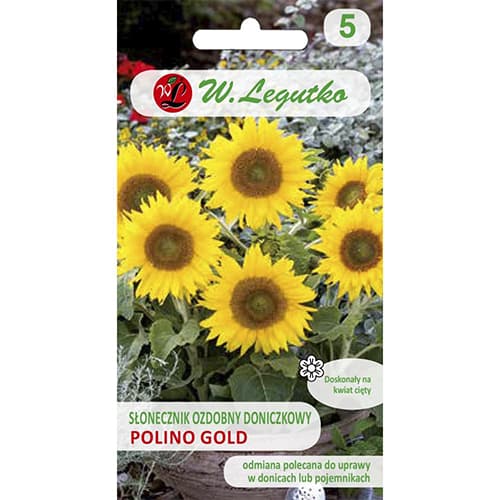 Sonnenblume Polino Gold interface.art Bild 1 Sonnenblume Polino Gold interface.image 1 interface.art 69628