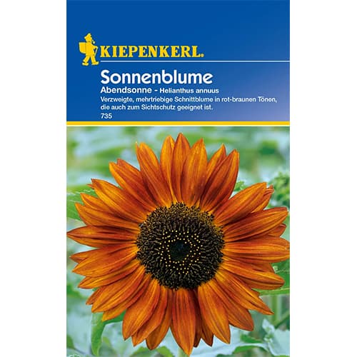 Sonnenblume Abendsonne interface.art Bild 1 Sonnenblume Abendsonne interface.image 1 interface.art 77405