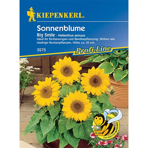 Sonnenblume Big Smile Kiepenkerl interface.art Bild 1 Sonnenblume Big Smile Kiepenkerl interface.image 1 interface.art 86319