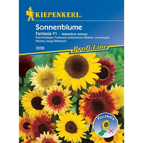 Sonnenblume Fantasia F1 interface.art Bild 1 Sonnenblume Fantasia F1 interface.image 1 interface.art 86320