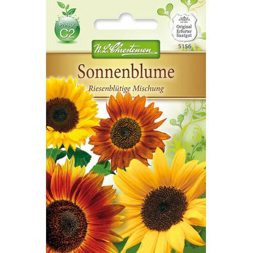 Sonnenblume Riesenblütige Mischung interface.art Bild 1 Sonnenblume Riesenblütige Mischung interface.image 1 interface.art 78915