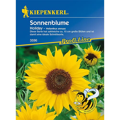 Sonnenblume Holiday interface.art Bild 1 Sonnenblume Holiday interface.image 1 interface.art 96577