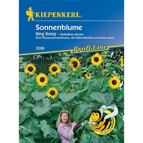 Sonnenblume King Kong interface.art Bild 1 Sonnenblume King Kong interface.image 1 interface.art 86323