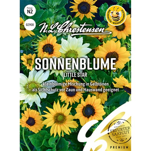 Sonnenblume Little Star interface.art Bild 1 Sonnenblume Little Star interface.image 1 interface.art 86189