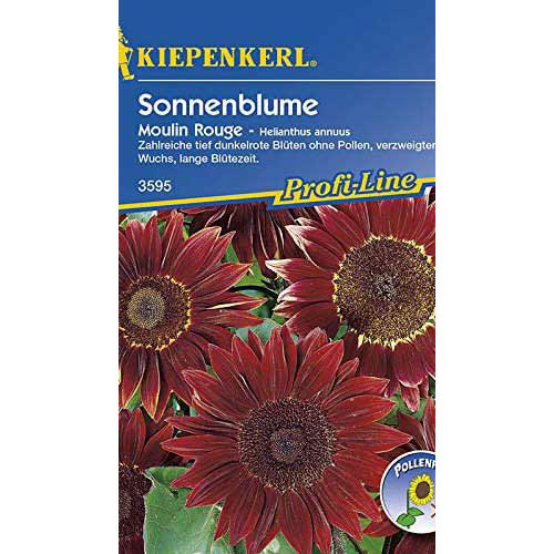 Sonnenblumen Moulin Rouge interface.art Bild 1 Sonnenblumen Moulin Rouge interface.image 1 interface.art 86325