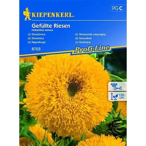 Sonnenblume Gefüllte Riesen interface.art Bild 1 Sonnenblume Gefüllte Riesen interface.image 1 interface.art 96539
