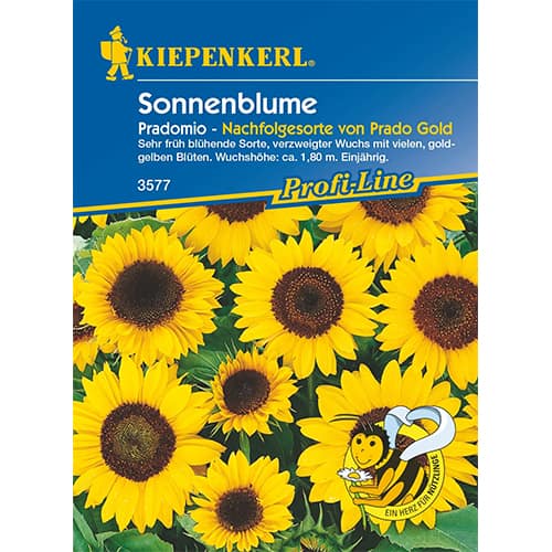 Sonnenblume Pradomio interface.art Bild 1 Sonnenblume Pradomio interface.image 1 interface.art 87261