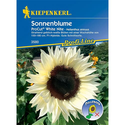 Sonnenblume Pro Cut White Nite F1 interface.art Bild 1 Sonnenblume Pro Cut White Nite F1 interface.image 1 interface.art 86327