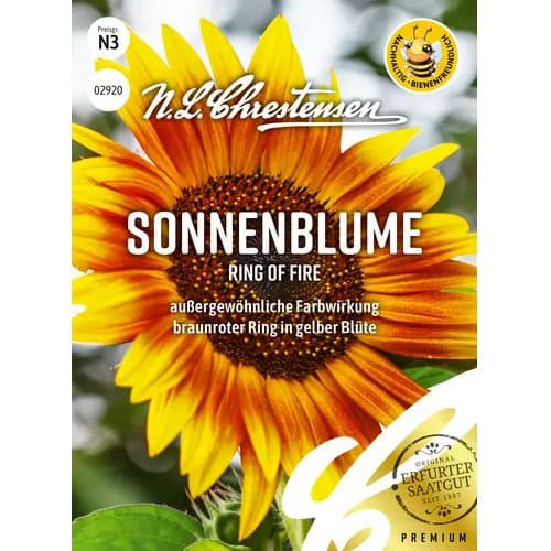 Sonnenblume Ring of Fire Chrestensen interface.art Bild 1 Sonnenblume Ring of Fire Chrestensen interface.image 1 interface.art 96450