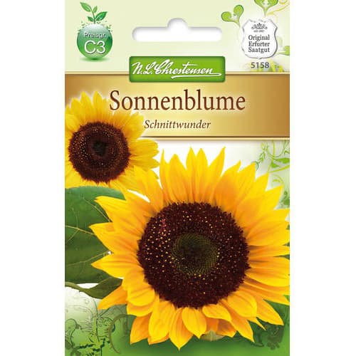 Sonnenblume Schnittwunder interface.art Bild 1 Sonnenblume Schnittwunder interface.image 1 interface.art 78916