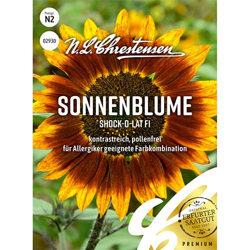Sonnenblume Shock-o-lat F1 interface.art Bild 1 Sonnenblume Shock-o-lat F1 interface.image 1 interface.art 86191