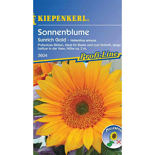 Sonnenblumen Sunrich Gold F1 interface.art Bild 1 Sonnenblumen Sunrich Gold F1 interface.image 1 interface.art 86328