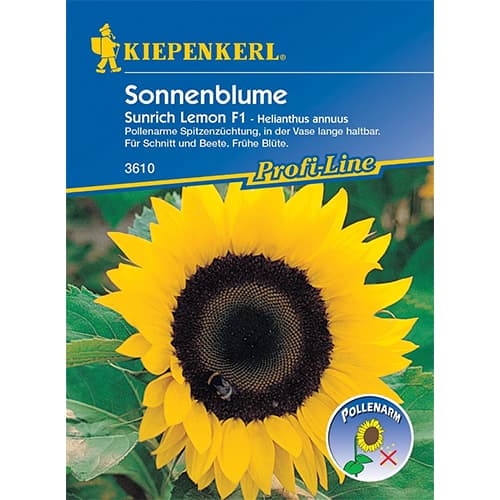 Sonnenblume Sunrich Lemon F1 interface.art Bild 1 Sonnenblume Sunrich Lemon F1 interface.image 1 interface.art 86329