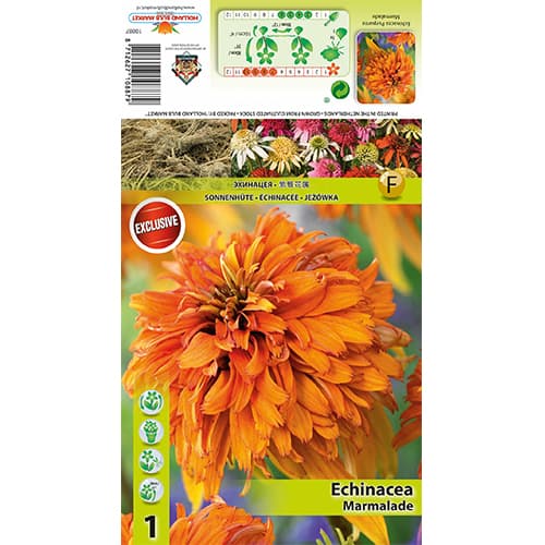 Sonnenhut Marmalade interface.art Bild 1 Sonnenhut Marmalade interface.image 1 interface.art 77832