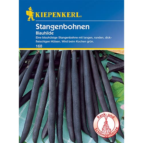Stangenbohne Blauhilde interface.art Bild 1 Stangenbohne Blauhilde interface.image 1 interface.art 86539