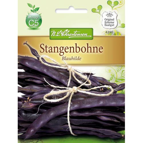 Stangebohne Blauhilde interface.art Bild 1 Stangebohne Blauhilde interface.image 1 interface.art 78832