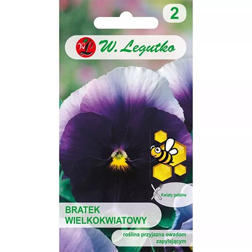 Stiefmütterchen Lord Beaconsfield Legutko interface.image 1 interface.art 96735