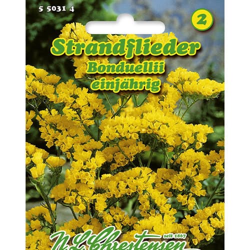 Strandflieder Bonduellii interface.image 1 interface.art 86164