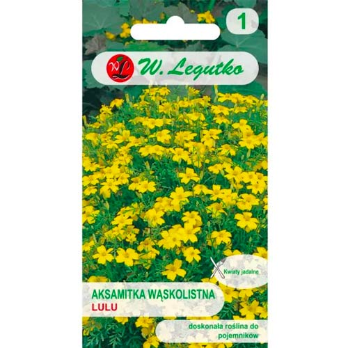 Studentenblume Lulu Legutko interface.image 1 interface.art 78508