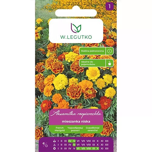 Studentenblume Mischung interface.art Bild 1 Studentenblume Mischung interface.image 1 interface.art 69551
