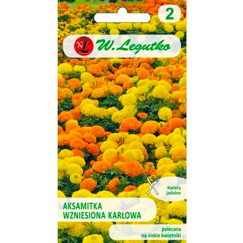 Studentenblume zwerg mischung Legutko interface.image 1 interface.art 50081