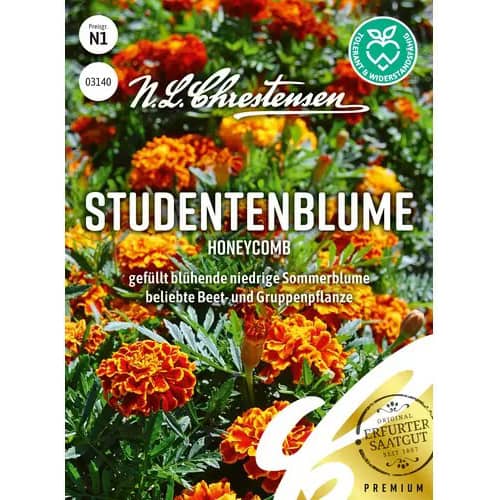 Steudentenblume Honeycomb interface.art Bild 1 Steudentenblume Honeycomb interface.image 1 interface.art 96455