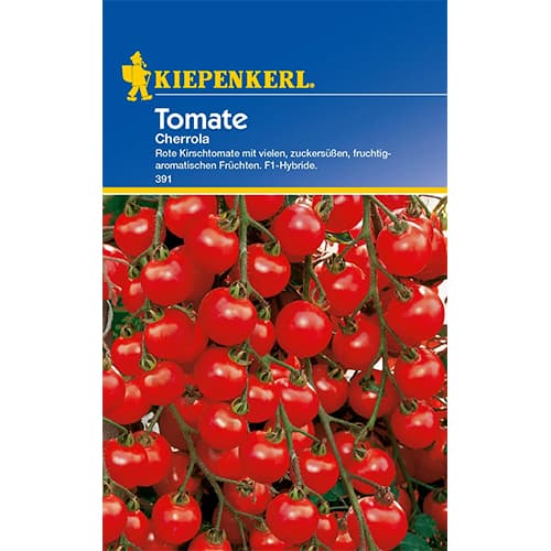 Tomate Cherrola F1 interface.art Bild 1 Tomate Cherrola F1 interface.image 1 interface.art 77488