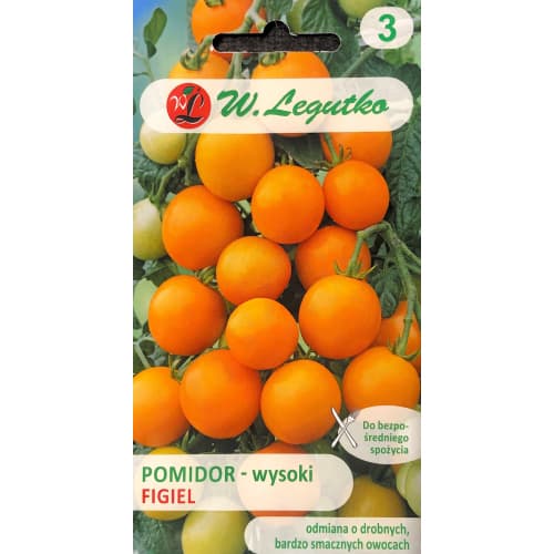 Tomate Figiel interface.art Bild 1 Tomate Figiel interface.image 1 interface.art 69522