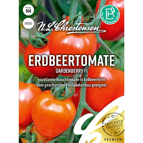 Erdbeertomate Gardenberry F1 interface.art Bild 1 Erdbeertomate Gardenberry F1 interface.image 1 interface.art 86038