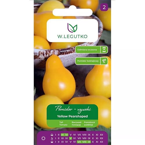 Tomate Yellow Pearshaped Legutko interface.art Bild 1 Tomate Yellow Pearshaped Legutko interface.image 1 interface.art 69527