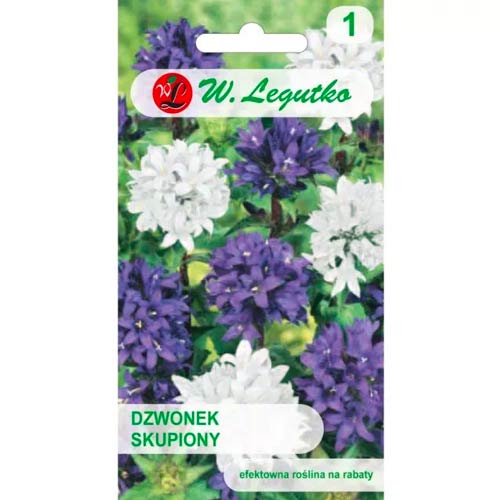 Traubenglockenblume, mischung Legutko interface.image 1 interface.art 50098