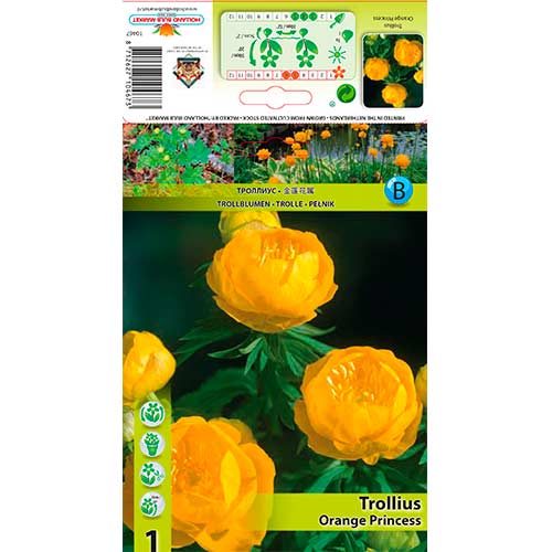 Trollblume Orange Princess interface.art Bild 1 Trollblume Orange Princess interface.image 1 interface.art 76364