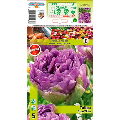 Tulpe Blue Wow interface.image 1 interface.art 67701