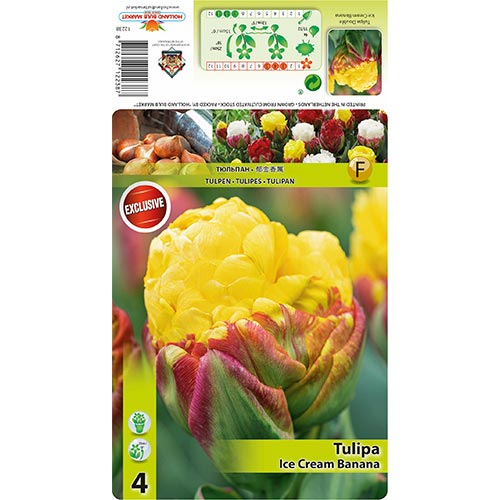 Tulpe Ice Cream Banana interface.image 1 interface.art 68402