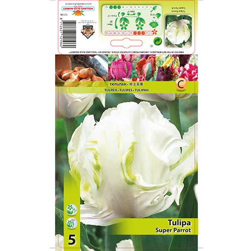 Tulpe Super Parrot interface.image 1 interface.art 67802