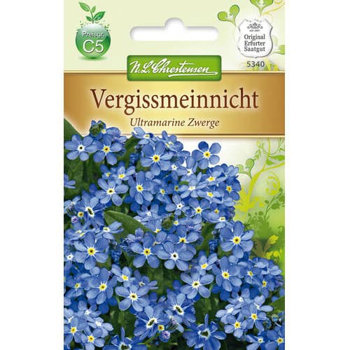 Vergissmeinnicht Ultramarine Zwerge interface.art Bild 1 Vergissmeinnicht Ultramarine Zwerge interface.image 1 interface.art 78959