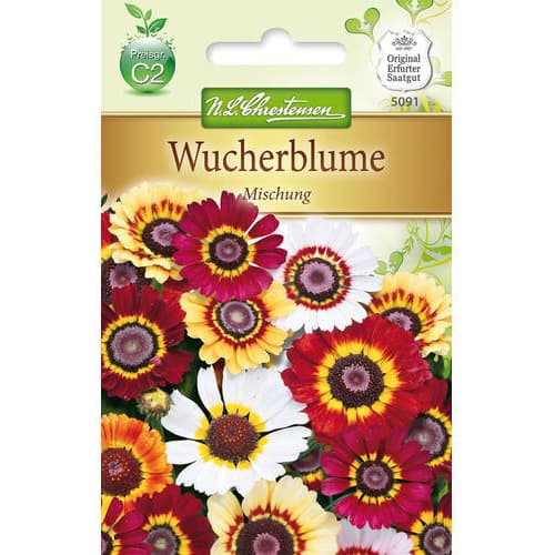 Wucherblume Mischung interface.art Bild 1 Wucherblume Mischung interface.image 1 interface.art 78899