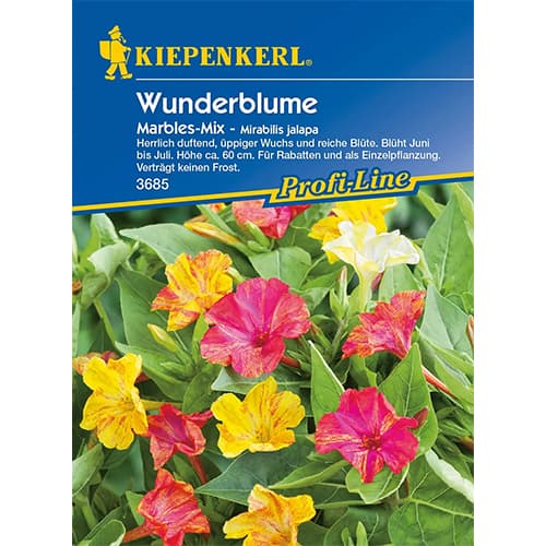 Wunderblume Marbles interface.art Bild 1 Wunderblume Marbles interface.image 1 interface.art 87762