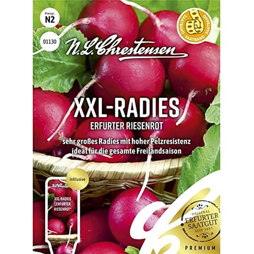 XXL - Radies Erfurter Riesenrot interface.art Bild 1 XXL - Radies Erfurter Riesenrot interface.image 1 interface.art 87853