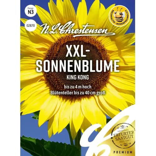 XXL - Sonnenblume King Kong interface.art Bild 1 XXL - Sonnenblume King Kong interface.image 1 interface.art 87822