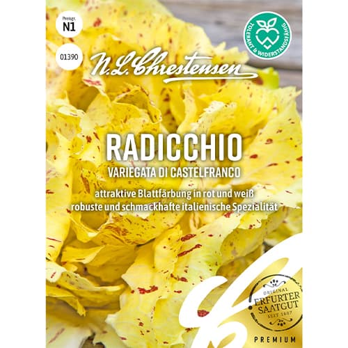 Radicchio Variegata di Castelfranco interface.art Bild 1 Radicchio Variegata di Castelfranco interface.image 1 interface.art 86082