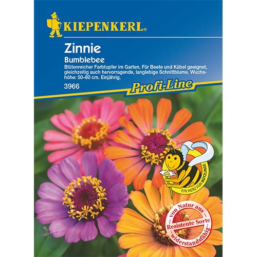 Zinnie Bumblebee interface.art Bild 1 Zinnie Bumblebee interface.image 1 interface.art 87268