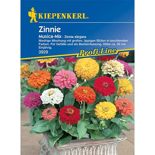 Zinnie Musica Mischung interface.art Bild 1 Zinnie Musica Mischung interface.image 1 interface.art 96591