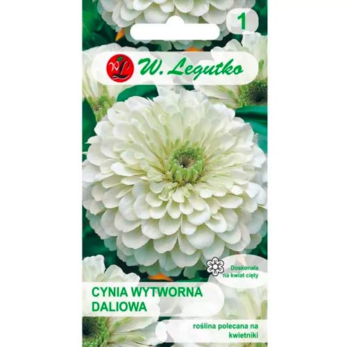 Zinnie Polar Bear Legutko interface.image 1 interface.art 78540