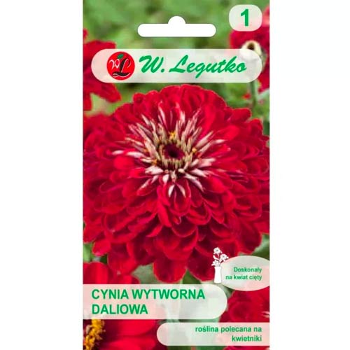 Zinnie Scarlet Flame Legutko interface.image 1 interface.art 69576