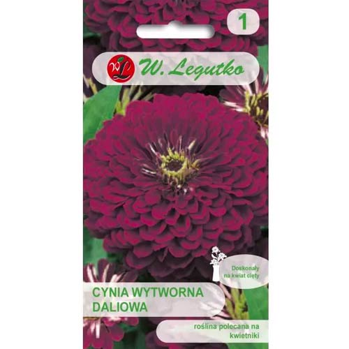 Zinnie Violet Queen Legutko interface.image 1 interface.art 69577