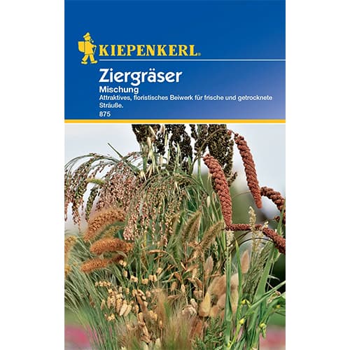 Ziergräser Mischung interface.art Bild 1 Ziergräser Mischung interface.image 1 interface.art 77413