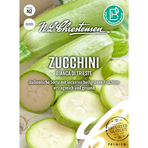 Zucchini Bianca di Trieste interface.art Bild 1 Zucchini Bianca di Trieste interface.image 1 interface.art 86102