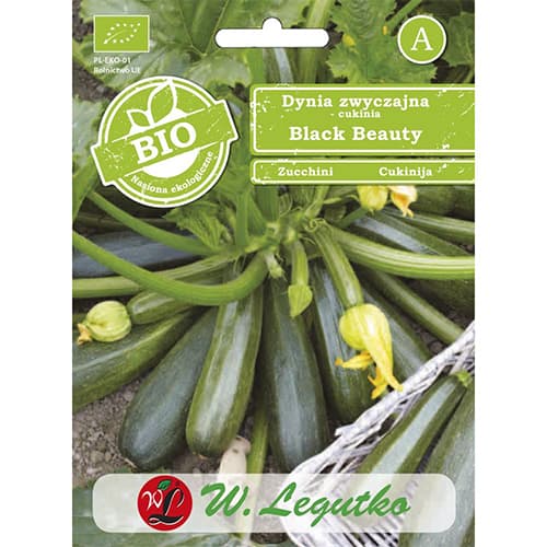 Zucchini Black Beauty interface.art Bild 1 Zucchini Black Beauty interface.image 1 interface.art 96827
